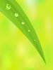 Green Earth