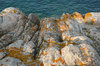 Rocks and lichens