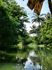 Tropical River
