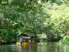 Tropical River