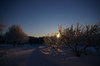 Lovely winters day