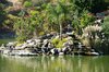 The lagoon