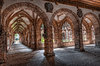The Minster of Basel