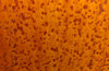 the colours of rust