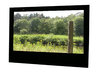TV Screen