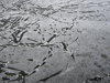 Ice on the pond