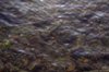 Rocks under the ocean 2