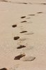 Footprints in the sand