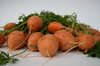 Carrot 1