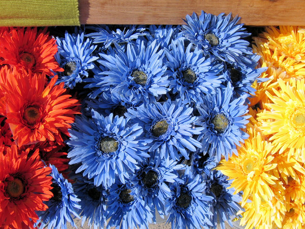 colourful silk flowers: colourful silk flowers colourful silk flowers: colourful silk flowers