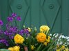 spring flowers