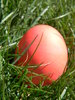 Easter Eggs