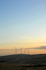Wind farm at sunset