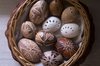 Easter eggs 1