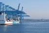 Containers terminal