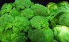 fresh veggies