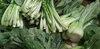 fresh veggies