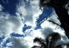 topical clouds