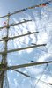 tall ships