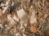 brown decay