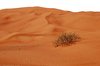 Desert