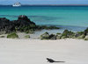 beautiful galapagos
