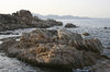 Shoreline 4