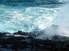 wild ocean