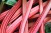 Rhubarb