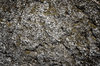 texture