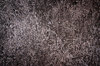 texture