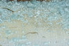 shattered glass,