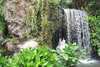 behind the waterfall