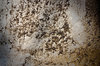 texture