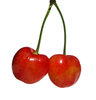 red couple