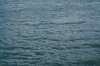water background