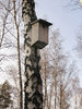 Birdhouse
