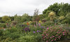 English garden