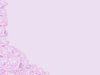 Wedding Rose Border 3