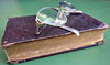 polyglott Bible and glasses