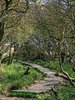 Path