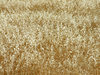 dry wild oats