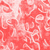 Love to scribble