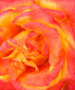 dampened fire