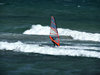 wind surfer