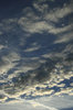 Clouds at dawn