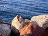 Coastal protection