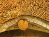 Viking House Roof