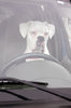 BOXER AT THE WHEEL