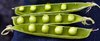 Peas